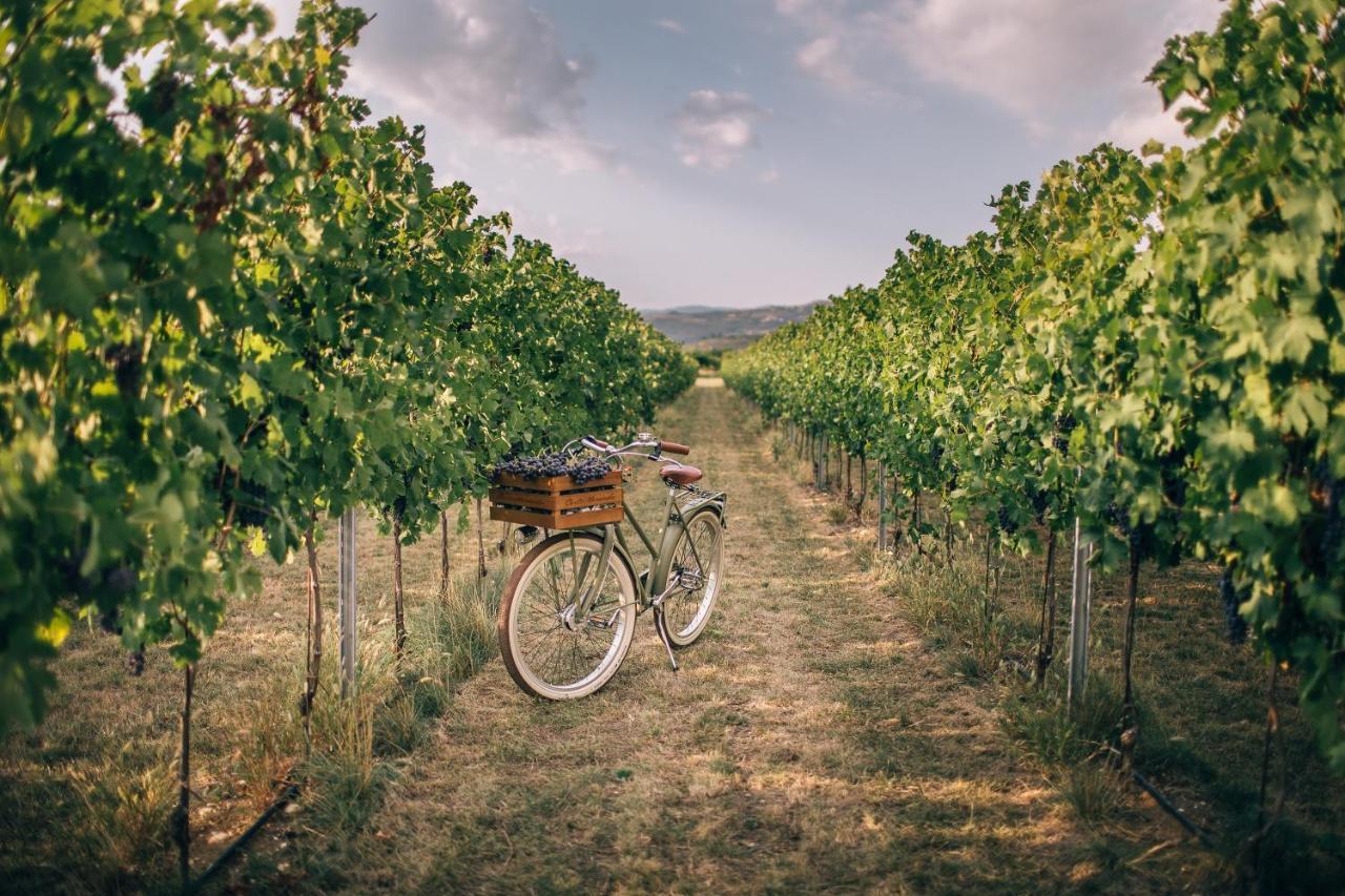 Agriturismo Corte Moranda Verona Kültér fotó