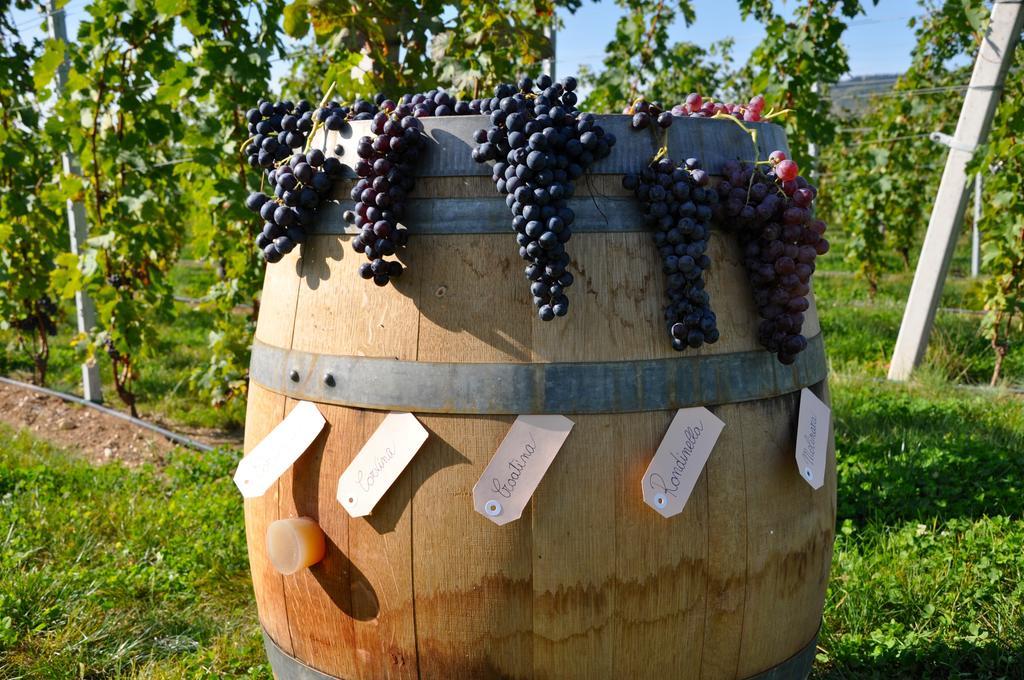 Agriturismo Corte Moranda Verona Kültér fotó