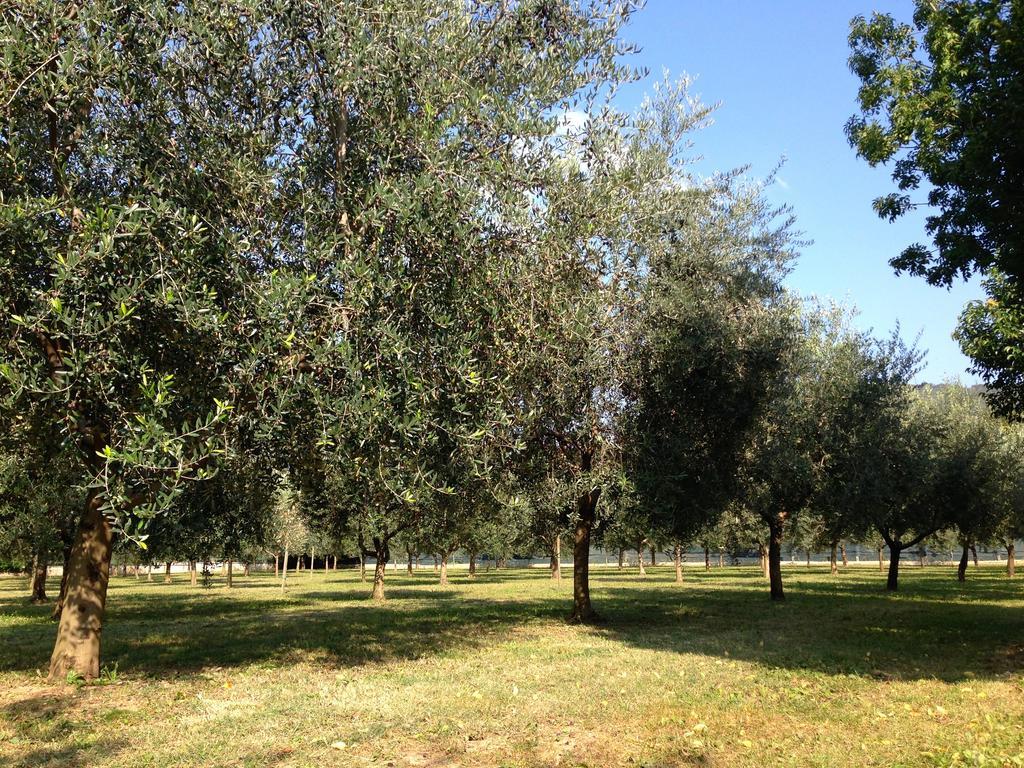 Agriturismo Corte Moranda Verona Kültér fotó