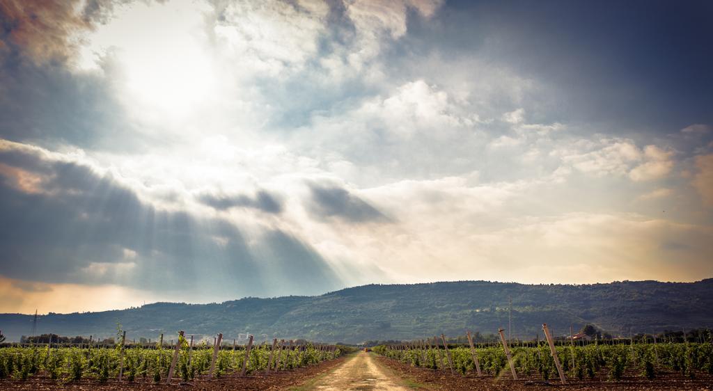 Agriturismo Corte Moranda Verona Kültér fotó